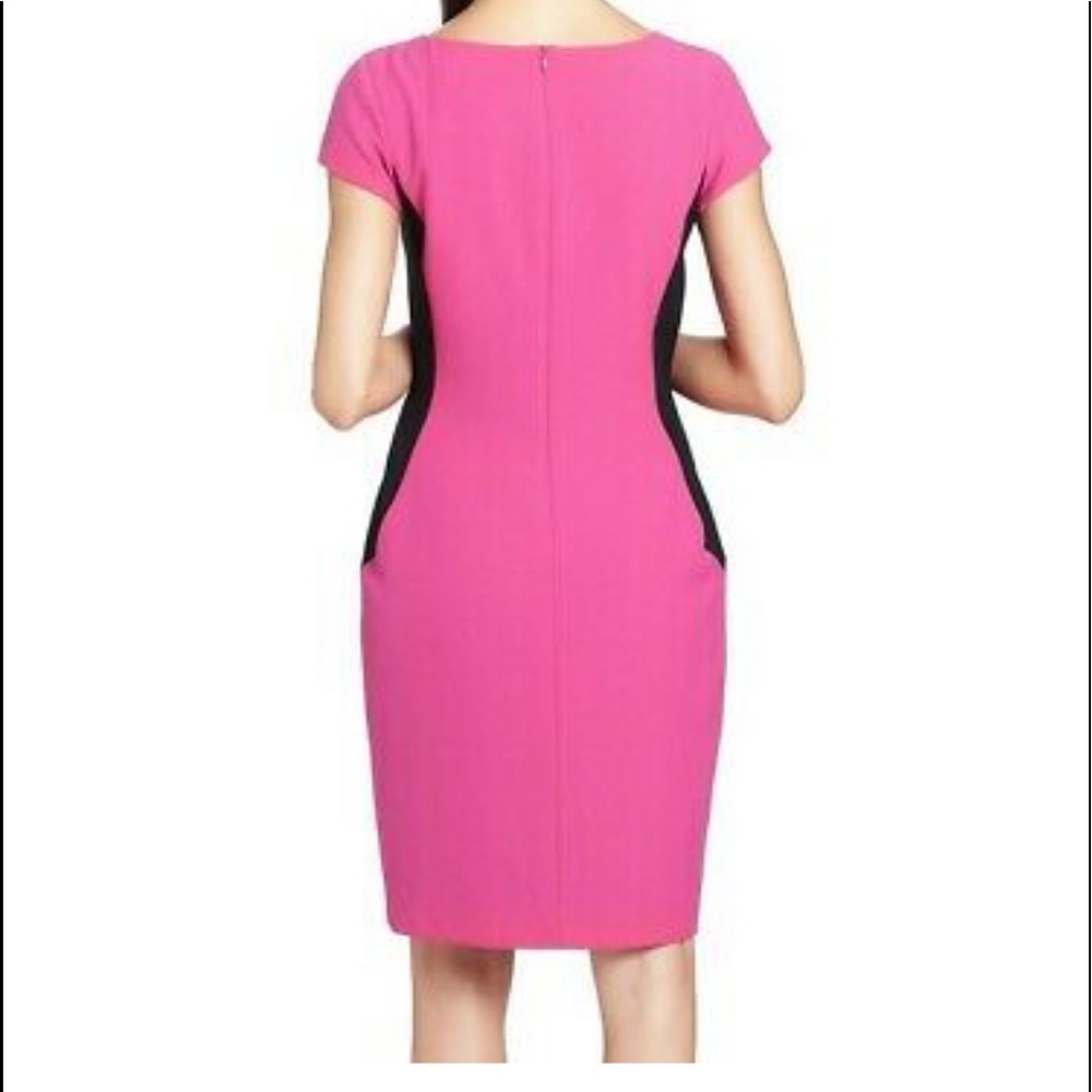 Cynthia Steffe Lida Contrast Side Panel Dress 8 - Picture 3 of 6
